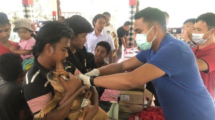 Vaksinasi anjing rabies di wantilan desa adat Kukuh, Desa Kukuh, Kecamatan Marga, Tabanan. Sumber Foto: Istimewa