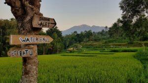 Keindahan alam yang dimiliki oleh Desa Wisata Kembang Kuning Sumber Foto: biroadpim.ntbprov.go.id