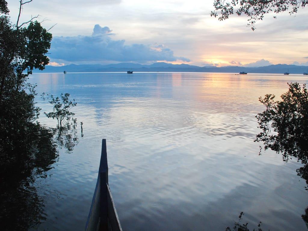 Sail Teluk Cendrawasih. Sumber foto: Istimewa