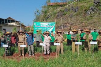 Panen Bawang Desa Sidoharjo, Sumber Foto: Website Desa Sidoharjo