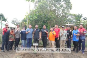 foto pj gubernur saat menanam pohon alpukat, Sumber foto: sumber resmi babel