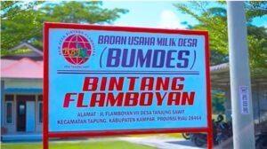 Papan Nama BUM Desa Bintang Flamboyan. Sumber foto: akun resmi Youtube Desa Tanjung Sawit