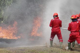 petugas di lapangan sedang memadamkan kebakaran lahan. sumber: menlhk.go.id