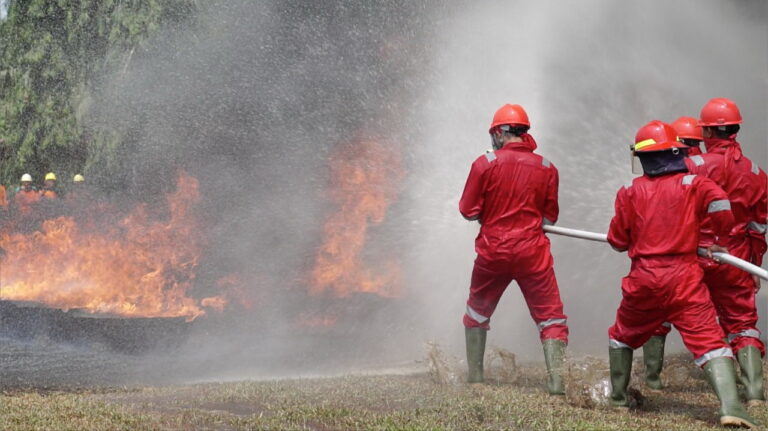 petugas di lapangan sedang memadamkan kebakaran lahan. sumber: menlhk.go.id