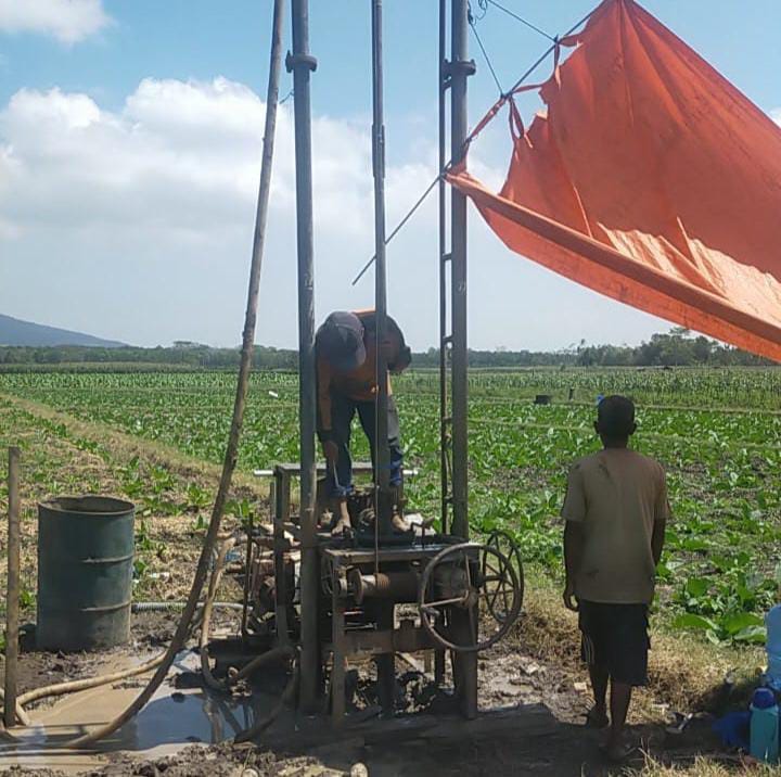 Dampak El Nino Sejumlah Petani Desa Alihkan Tanaman Ke Palawija - Kolom ...