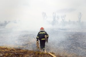 Ilustrasi Petugas Memadamkan Kebakaran Hutan, Sumber Foto: Freepik