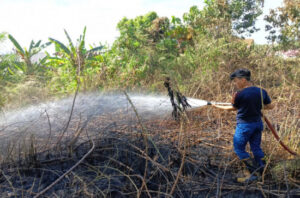 ilustrasi foto Damkar saat memadamkan kebakaran lahan, sumber foto: sumber resmi damkar