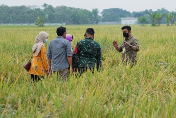 kelompok tani sedang mendiskusikan pemetaan spasial persawahan. sumber: ppid.pertanian.go.id/