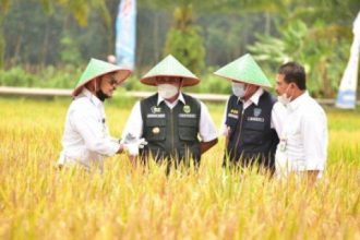 arsip kementerian pertanian. sumber: ppid.pertanian.go.id