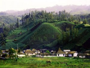 Pemandangan Desa Wisata Ranupani. Sumber foto: https://jadesta.kemenparekraf.go.id/