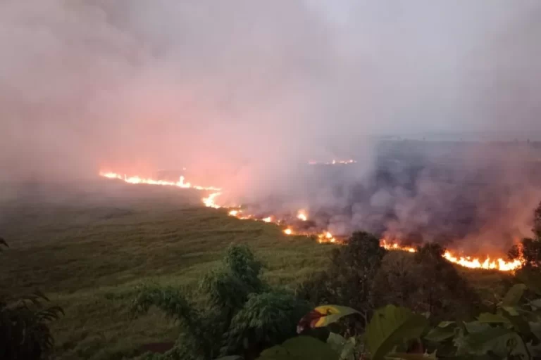 Himbauan Agar Msyarakat Antisipasi Terjadinya El Nino. Sumber foto:bpbd.sultengprov.go.id