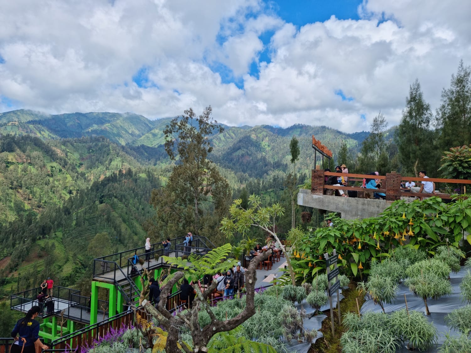 Taman Bunga Edelweiss di Desa Wisata Edelweiss. Sumber foto : Pengelola Desa Wisata Edelweiss.