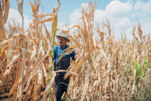 Ilustrasi Petani Gagal Panen, Sumber Foto: istock