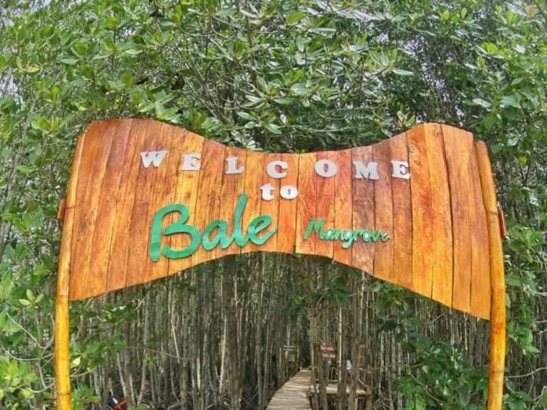 foto wisata Bale Mangrove, sumber foto: Jadesta