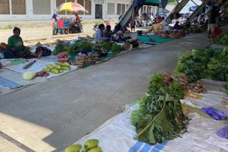 Pedagang Mama Papua Di Pasar Pharaa Sentani, Sumber Foto: Istimewa