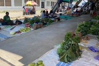 Pedagang Mama Papua Di Pasar Pharaa Sentani, Sumber Foto: Istimewa