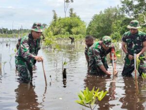 ilustrasi foto TNI menanam pohon Mangrove, sumber foto: sumber resmi TNI AD