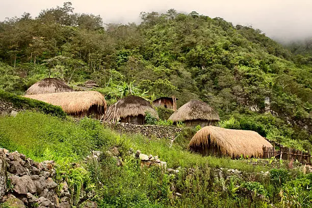 Ilustrasi Pemukiman di Tengah Hutan, Sumber Foto: pixabay