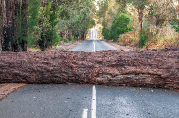 Ilustrasi Palang Jalan, Sumber Foto: istock