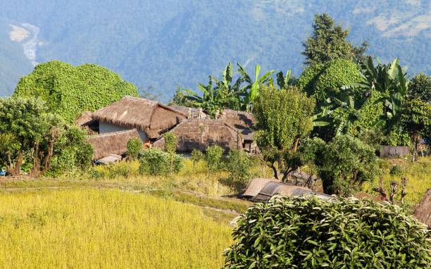 Ilustrasi desa sangat tertinggal di Sultra Sumber Foto: Istockphoto