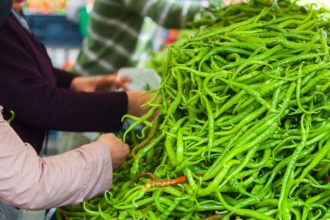 Cabai hijau. Sumber foto: iStock.