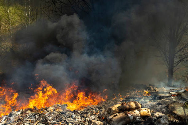 Ilustrasi kebakaran. Sumber foto: iStock.