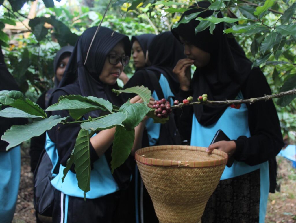 Salah satu paket wisata Desa Japan adalah wisata edukasi kopi. Sumber foto: Jadesta Kemenparekraf.