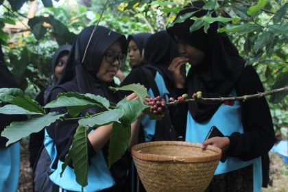 Salah satu paket wisata Desa Japan adalah wisata edukasi kopi. Sumber foto: Jadesta Kemenparekraf.