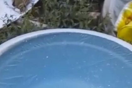 Penampakan air membeku di Desa Ranupani, Lumajang. Sumber foto: Tangkapan video viral.