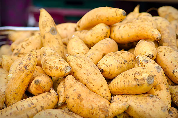 Ubi Cilembu. Sumber foto: iStock.