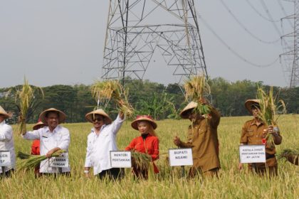 Antisipasi Dampak El Nino Petani Behasil Panen Padi 15 Hektare Sumber foto: kotabarukab.go.id