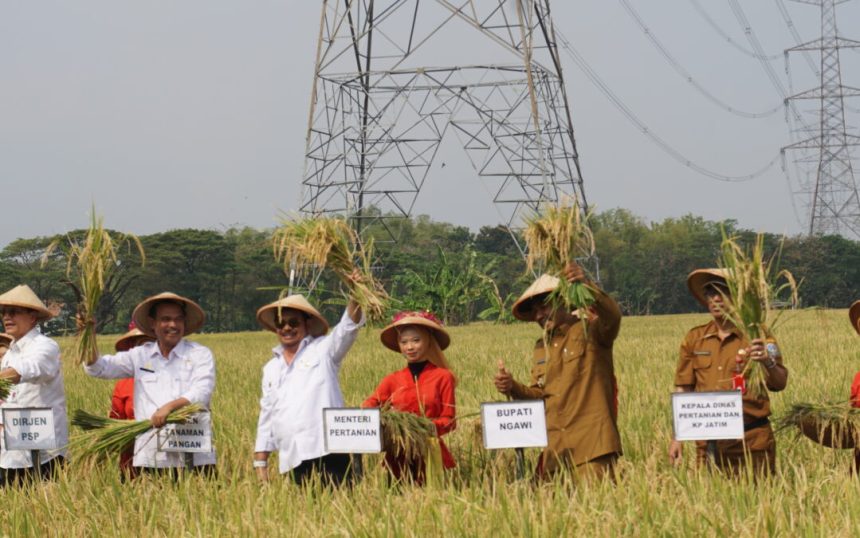 Antisipasi Dampak El Nino Petani Behasil Panen Padi 15 Hektare Sumber foto: kotabarukab.go.id