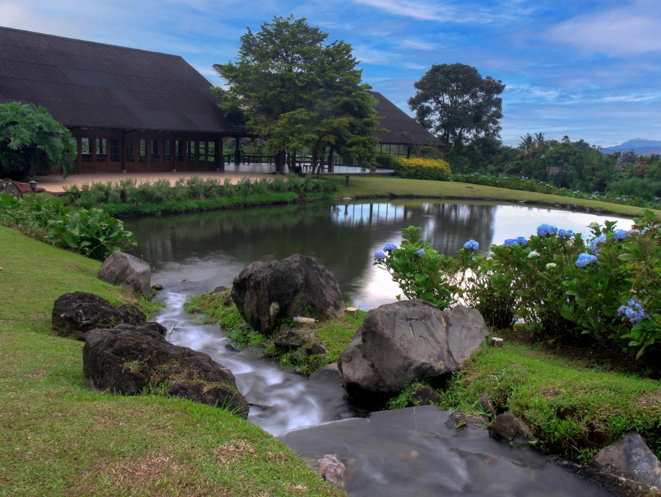 Menikmati Indahnya Taman Bunga di Tengah Dua Gunung Berapi Homestay dan Bunga Abdi di Desa Wisata Kakaskasen Dua. Sumber foto : Dok. Kemenparekraf.