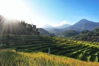 Kindahan Lereng Gunung Lawu di Desa Wisata Conto. Sumber foto : Kemenparekraf.