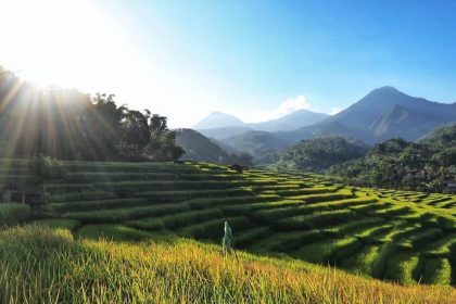 Kindahan Lereng Gunung Lawu di Desa Wisata Conto. Sumber foto : Kemenparekraf.