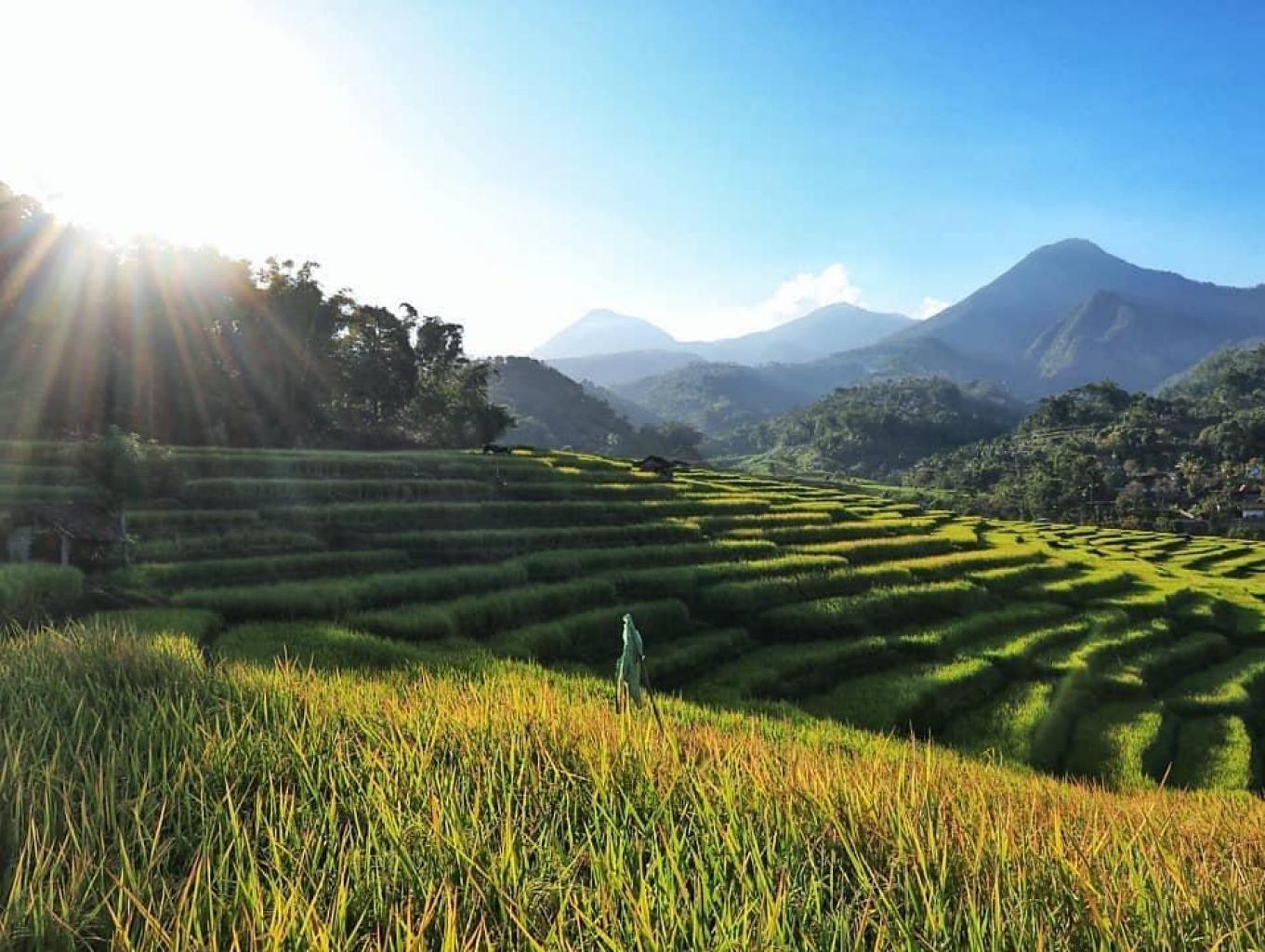 Kindahan Lereng Gunung Lawu di Desa Wisata Conto. Sumber foto : Kemenparekraf.