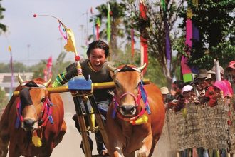 Tradisi Kerapan Sapi Madura Sumber Foto: Twitter Noor Sumanto