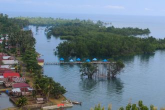 Pemandanagn Indah dari atas Bukit Kawasan Rawa di Desa Wisata Taat. Sumber Foto : Dok. Kemenparekraf.