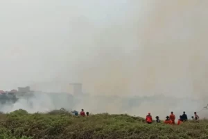 Keterangan: Peningkatan ISPA Akibat Karhutla di Hulu Sungai Sumber foto: bpbd.hulusungaiselatankab.go.id