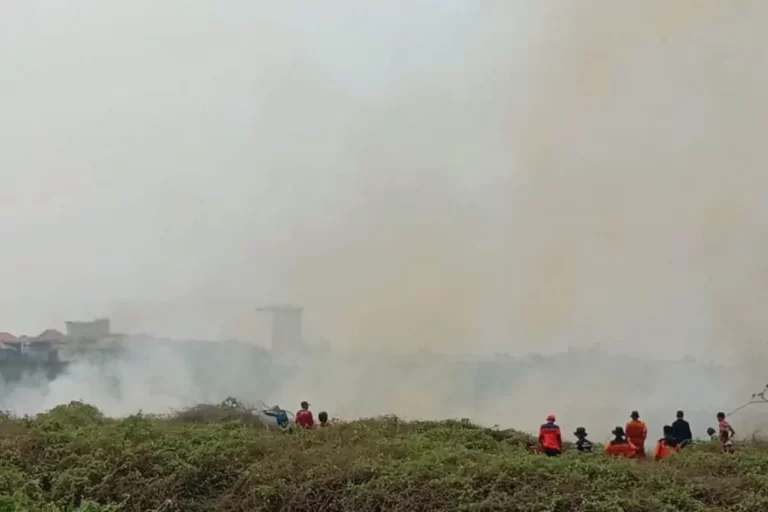 Keterangan: Peningkatan ISPA Akibat Karhutla di Hulu Sungai Sumber foto: bpbd.hulusungaiselatankab.go.id