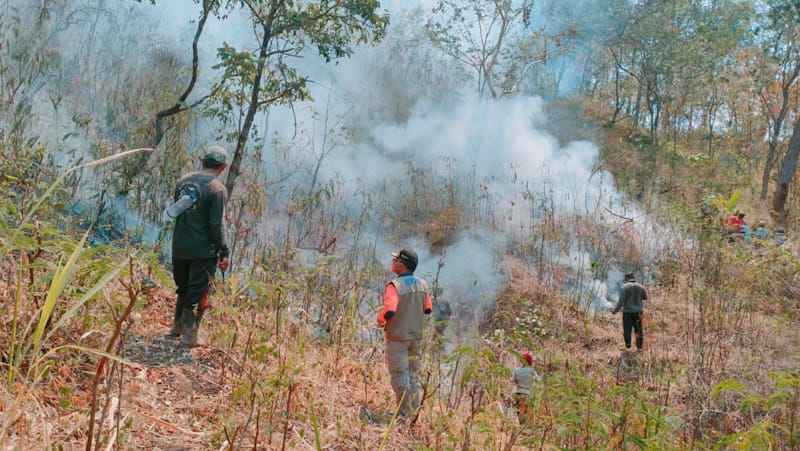 foto hutan lereng gunung agung, sumber foto: istimewa