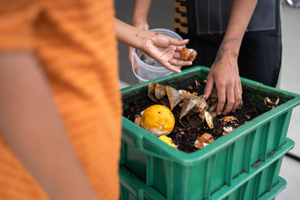 Ilustrasi Mengelola Sampah Organik Jadi Pupuk, Sumber Foto: istock