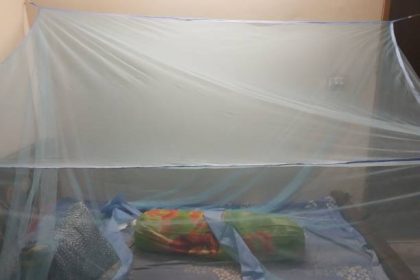 Kelambu Malaria, Sumber Foto: istock