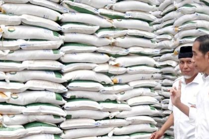 Presiden Imbau Stok Beras Cukup Meski Produksi Surplus. Sumber: Instagram/Jokowi
