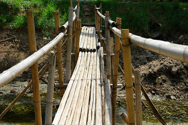 Jembatan bambu. Sumber foto: iStock.