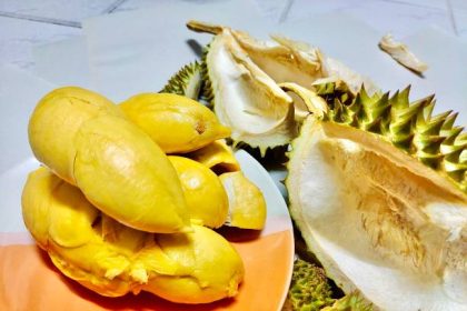 Ilustrasi durian Musang King. Sumber foto: iStock.