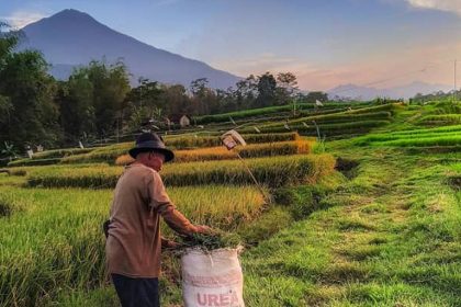 Kemendikbudristek Butuh Kolaborasi untuk Kemajuan Budaya di Desa Sumber foto: desabudaya.kemdikbud.go.id