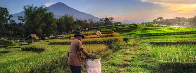 Kemendikbudristek Butuh Kolaborasi untuk Kemajuan Budaya di Desa Sumber foto: desabudaya.kemdikbud.go.id