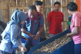 Proses pemecahan biji kemiri dengan mesin pencacah. Sumber: Dokumentasi Kolomdesa.com