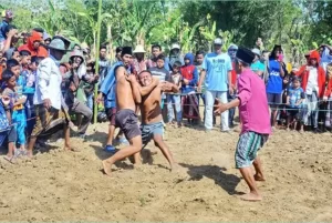 Tradisi Okol Madura. Sumber Foto: Radar Madura